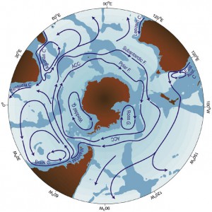 Southern Ocean circulation